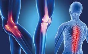 kıkırdak ve kemik yaralanması nedir? kıkırdak ve kemik tedavisi