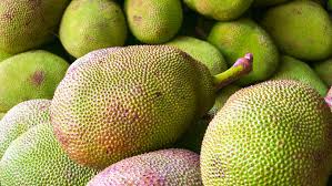 jackfruit meyvesi nedir? jackfruit meyvesi faydaları neler? nasıl yenir?