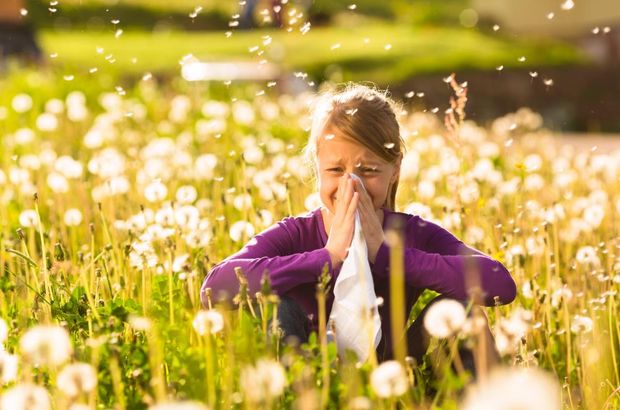 Çim poleni alerjisi nedir?